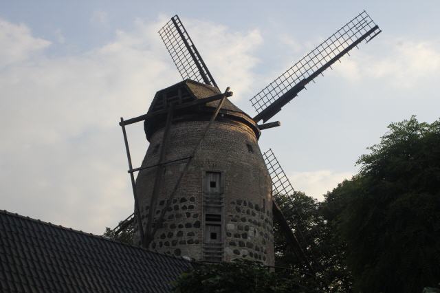 Windmühle Zons